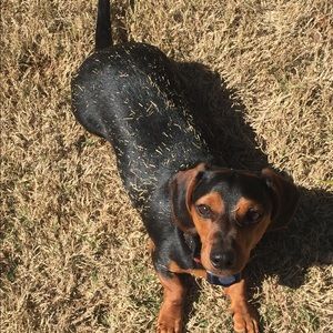 Meet your Posher, Heather